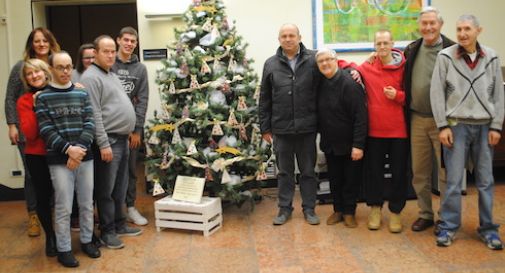 Vita e Lavoro ragazzi fanno alberi di Natale in Municipio Oggi